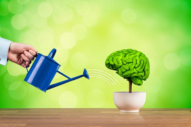 Foto: AdobeStock