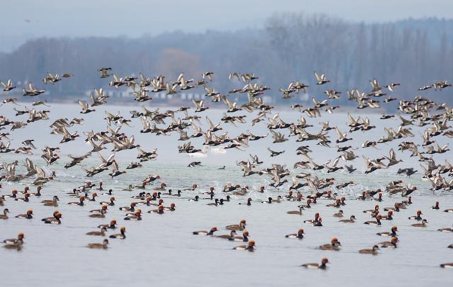 Naturschutz: Respektvoll die Natur geniessen