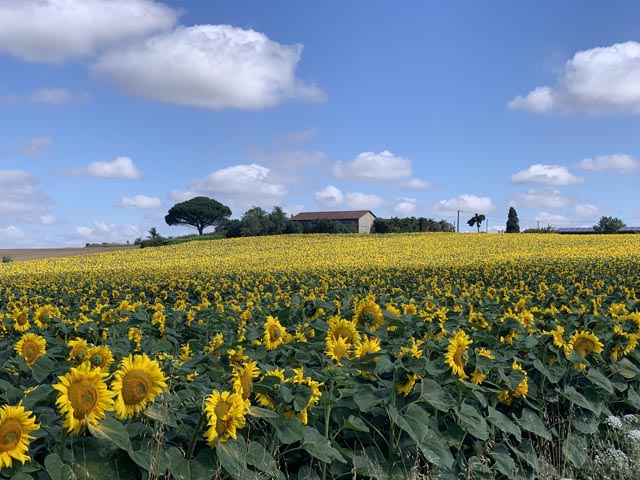 Foto: zVg