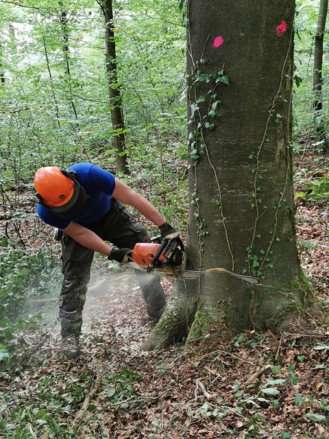 Foto: Urs Treier 