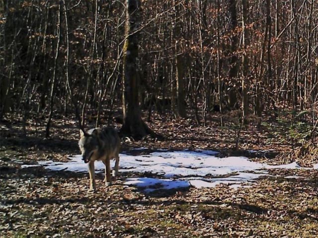 Foto: zVg