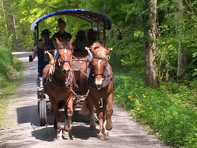 Foto: zVg