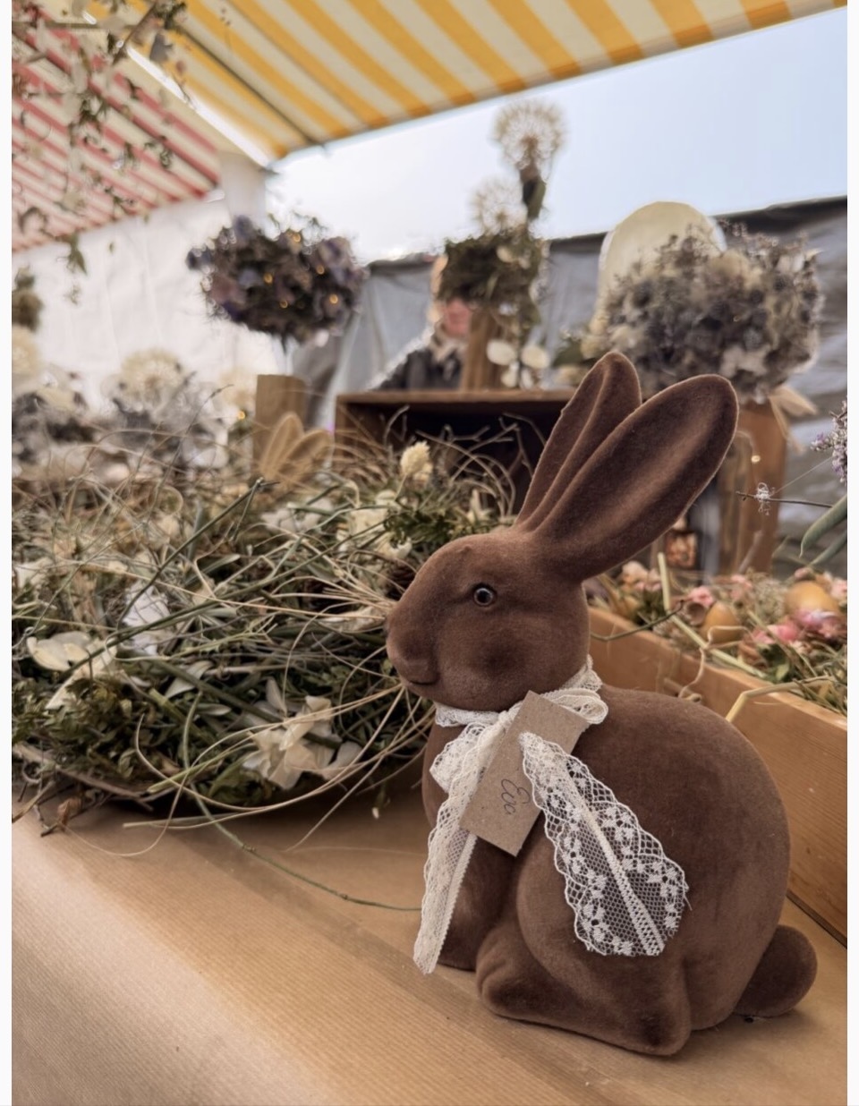 Foto: zVg
