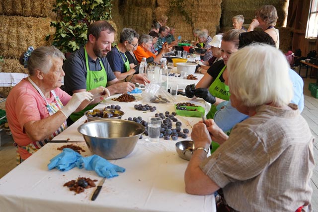 Gemeinsames Zwetschgenrüsten.  Foto: Thomas Zumbrunn, Pro Natura Baselland